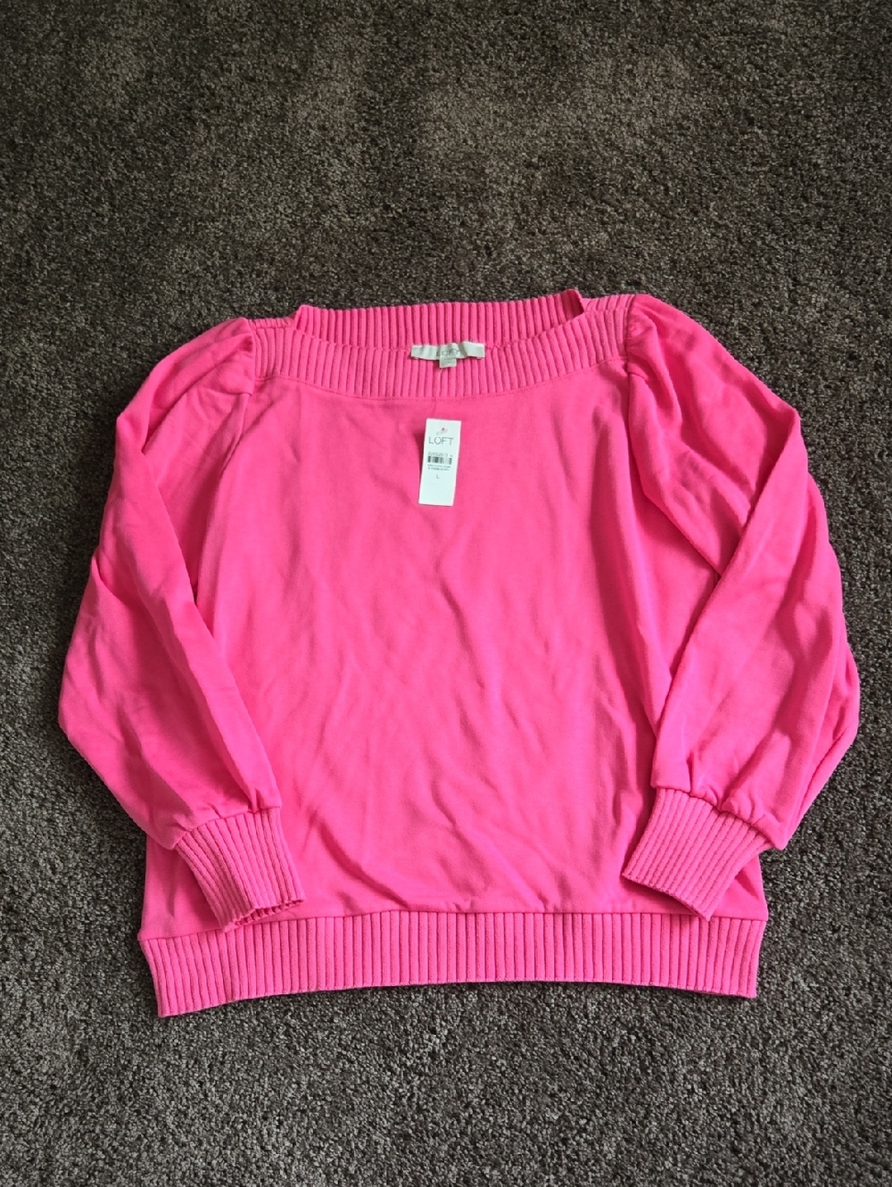 NEW Ann Taylor Loft Pink Terry Sweatshirt Top L